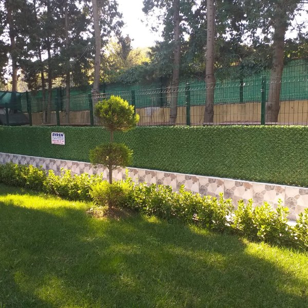 Çim Duvar Çiti